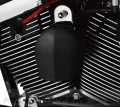 69039-09a-harley2.webp