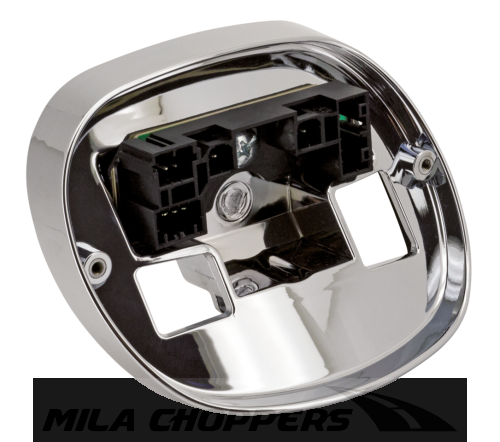 standard-rgba (1).png